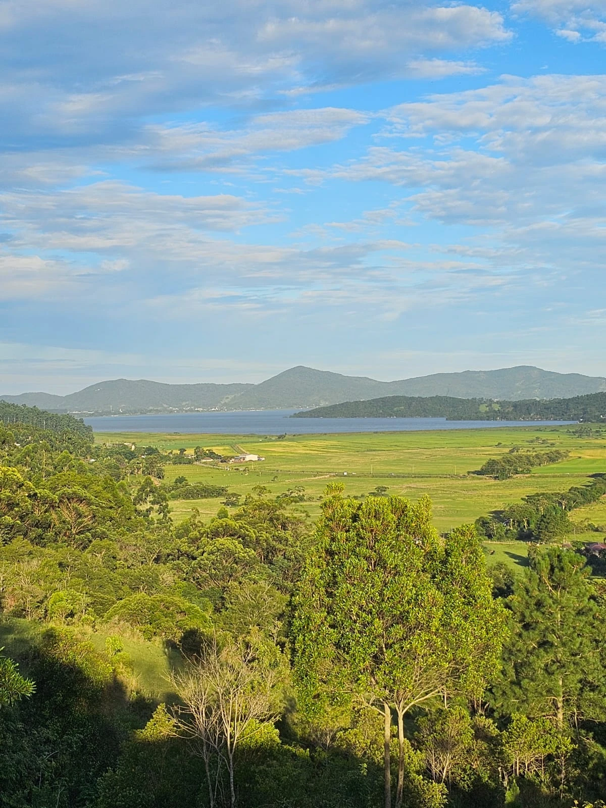 photo_2025_03_22_20_28_08_1x
