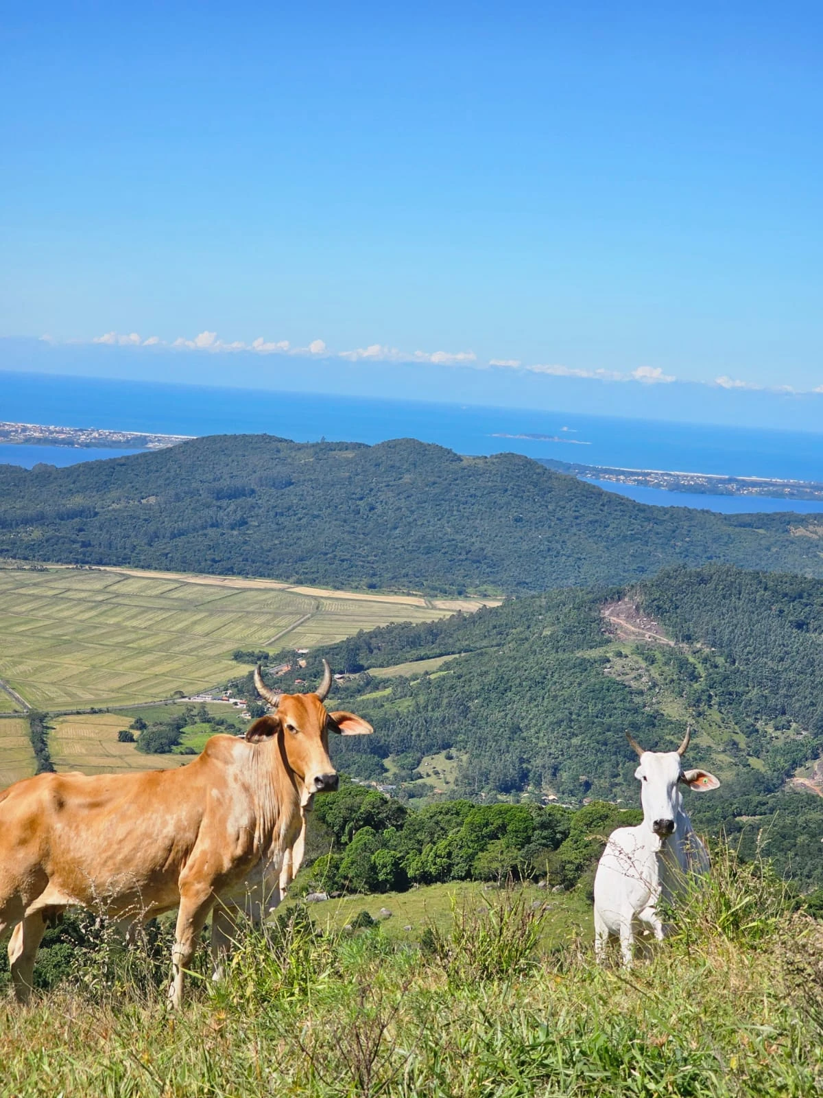 photo_2025_05_05_13_58_34_1__1x