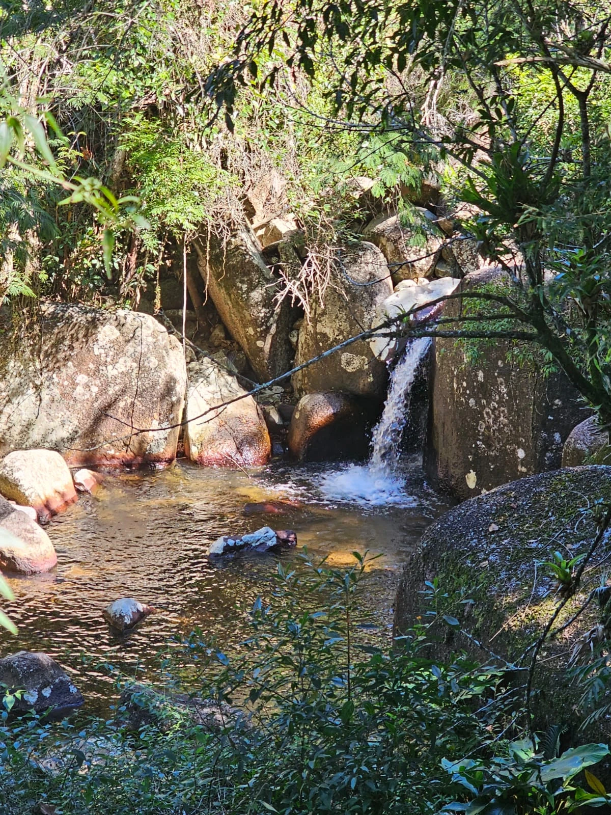 photo_2025_05_05_13_58_34_1x