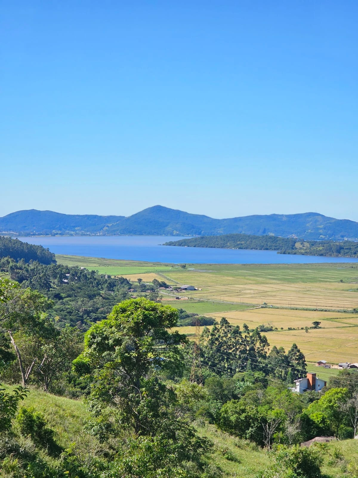 photo_2025_05_05_13_58_34_2__1x