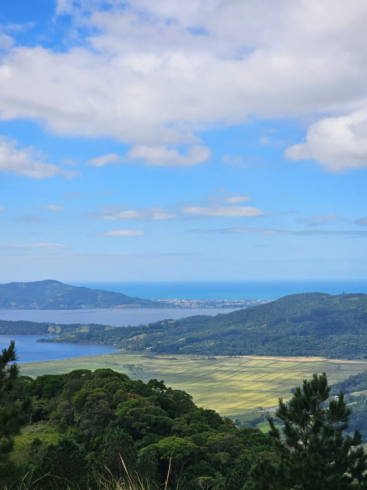 photo_2025_05_05_13_58_36_1__1x